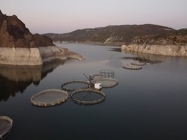 Foto - 75 ton üretmeye başladı! Arazisi sular altında kaldı mesleğini değiştirdi