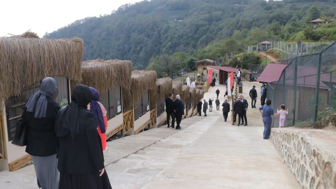 Foto - 750'den fazla canlı bulunuyor! Rize’de Hobi Hayvanat Bahçesi açıldı