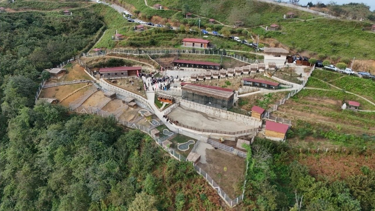 750'den fazla canlı bulunuyor! Rize’de Hobi Hayvanat Bahçesi açıldı