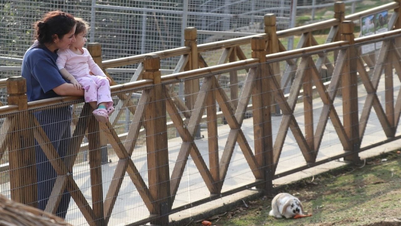 Foto - 750'den fazla canlı bulunuyor! Rize’de Hobi Hayvanat Bahçesi açıldı