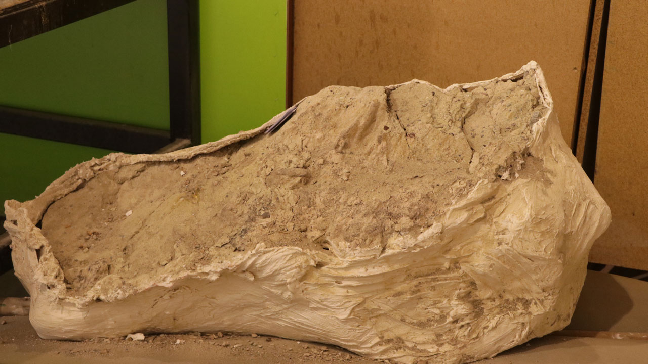 7,7 milyon yıllık sır perdesi aralandı! Kayseri'de 3 fil kafatası bulundu