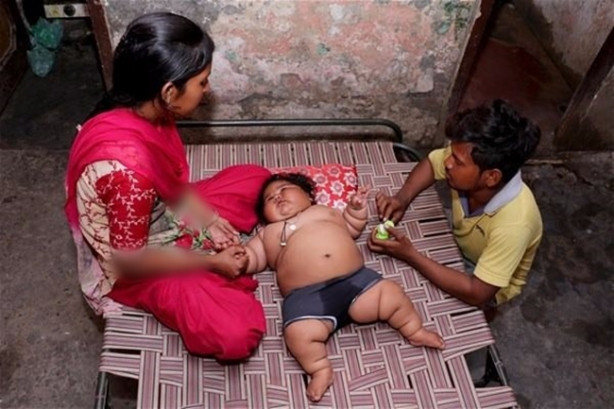 Foto - 8 aylık ama tam 17 kilo!