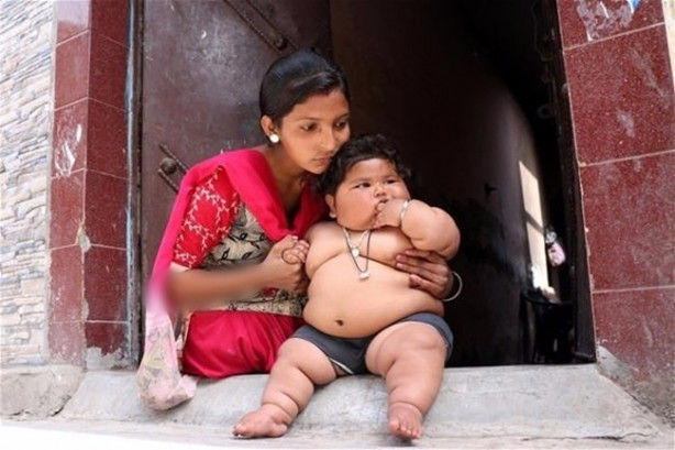 Foto - 8 aylık ama tam 17 kilo!