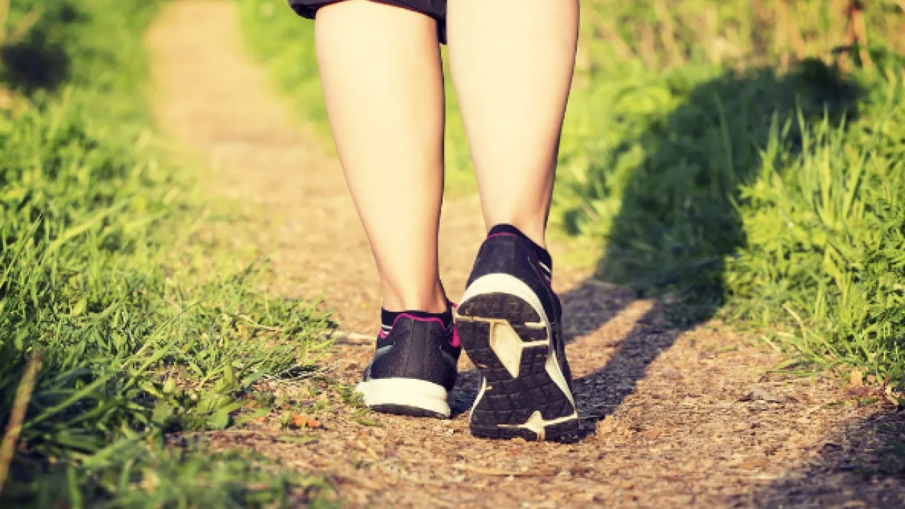 8 bin 241 adım seviyesi: Obezite derneği açıkladı: 8 bin adım atarsanız...