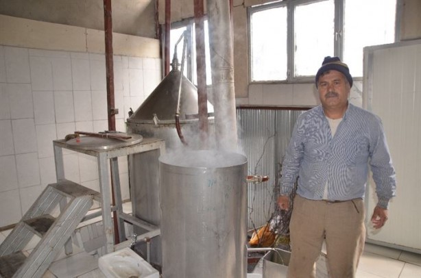 Foto - 8 kilodan sadece 100 gram elde ediliyor