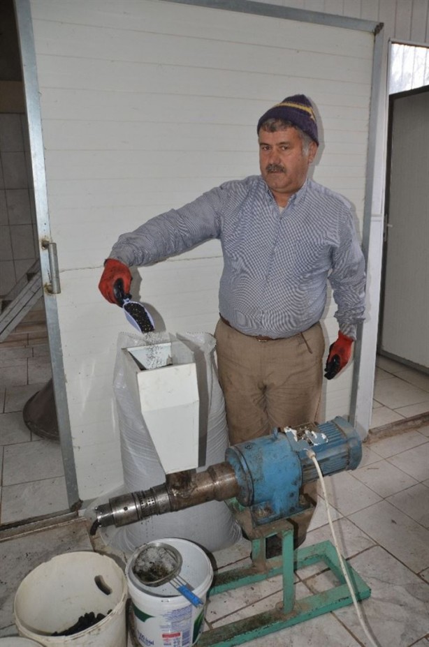 Foto - 8 kilodan sadece 100 gram elde ediliyor