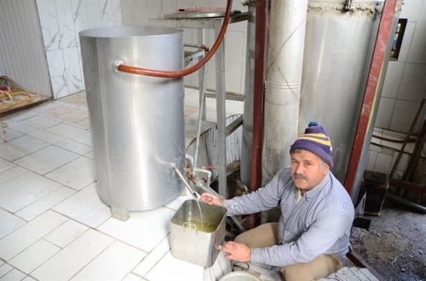 Foto - 8 kilodan sadece 100 gram elde ediliyor