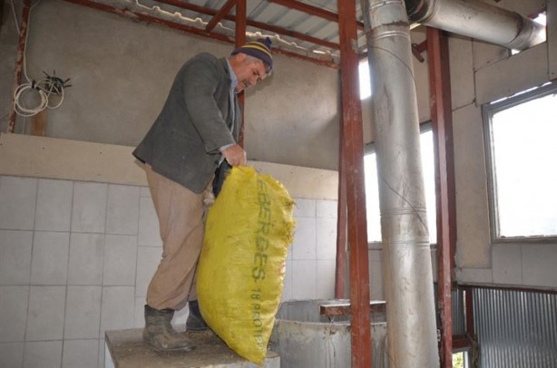 Foto - 8 kilodan sadece 100 gram elde ediliyor