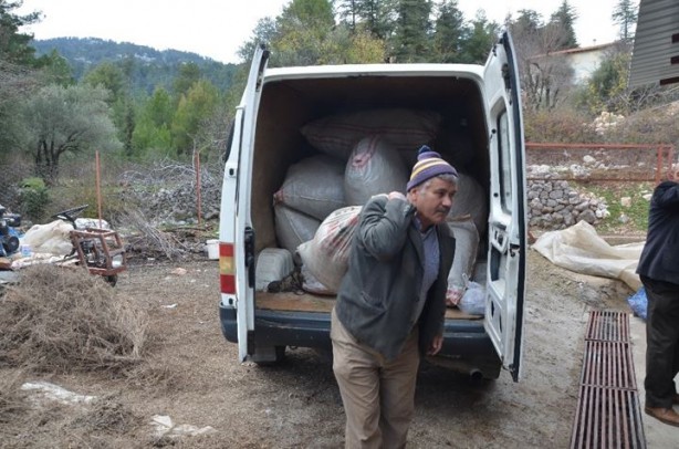 Foto - 8 kilodan sadece 100 gram elde ediliyor