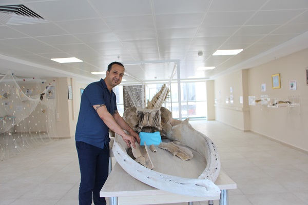 Foto - 8 yıl önce kıyıya vurmuştu! İşte son hali