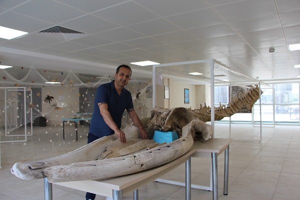 Foto - 8 yıl önce kıyıya vurmuştu! İşte son hali