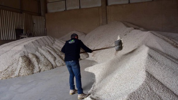 80 bin dekarda yetişti, Türkiye birincisi oldu! Tüm dünya bu ürünün peşinde: Herkes almak için sıraya girdi