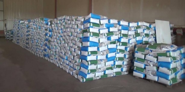 Foto - 80 bin dekarda yetişti, Türkiye birincisi oldu! Tüm dünya bu ürünün peşinde: Herkes almak için sıraya girdi