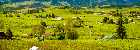 Foto - 80 bin hektarlık ormanlık alan Çinlilere satıldı! Gizlice el altından aldılar