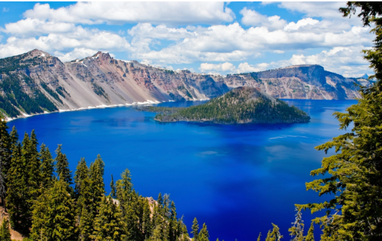 Foto - 80 bin hektarlık ormanlık alan Çinlilere satıldı! Gizlice el altından aldılar