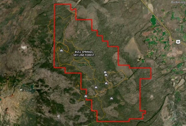 Foto - 80 bin hektarlık ormanlık alan Çinlilere satıldı! Gizlice el altından aldılar