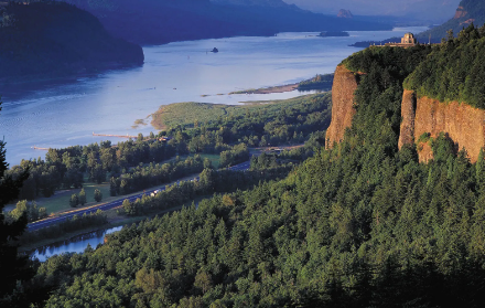 Foto - 80 bin hektarlık ormanlık alan Çinlilere satıldı! Gizlice el altından aldılar