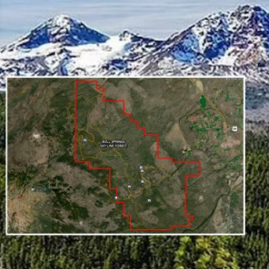 Foto - 80 bin hektarlık ormanlık alan Çinlilere satıldı! Gizlice el altından aldılar