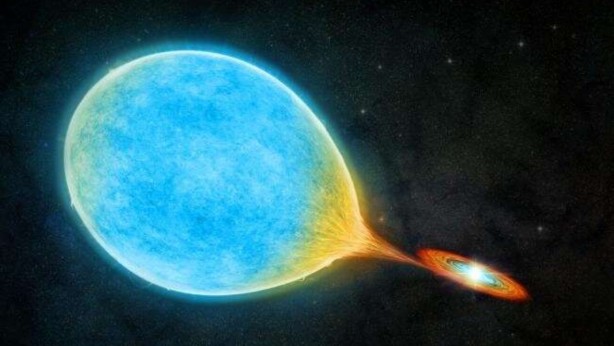 Foto - 80 bin yıl sonra bir ilk!