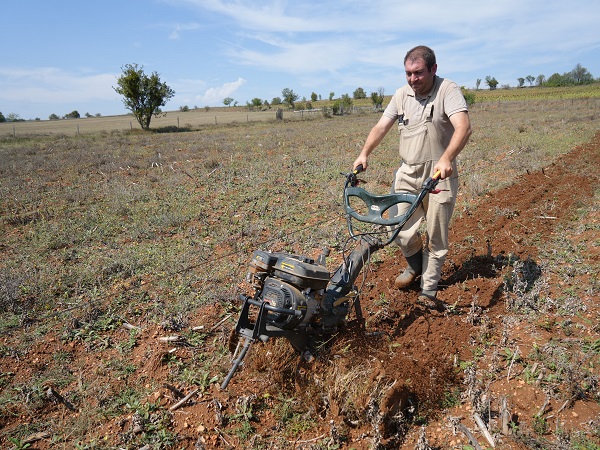 Foto - 80 ton ürün bekliyorlar! Denemek için ekti siparişlere yetişemez oldu