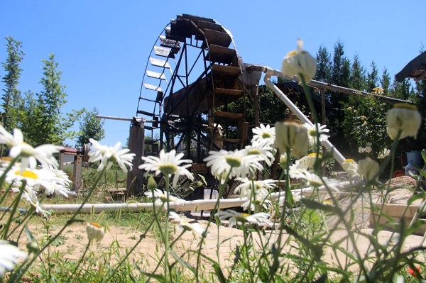 Foto - 80 yıldır hizmet veriyor! Türünün son örneği ülkemizde