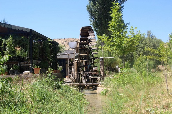 Foto - 80 yıldır hizmet veriyor! Türünün son örneği ülkemizde