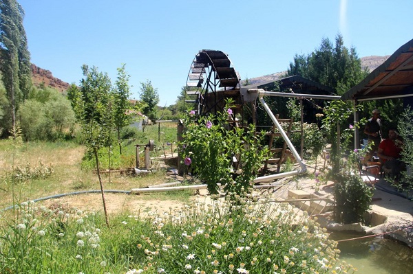 Foto - 80 yıldır hizmet veriyor! Türünün son örneği ülkemizde
