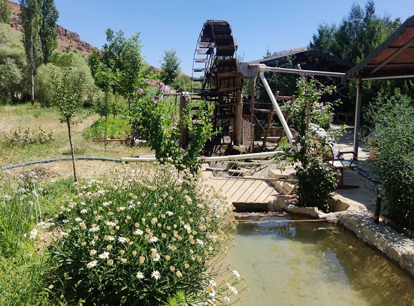 Foto - 80 yıldır hizmet veriyor! Türünün son örneği ülkemizde