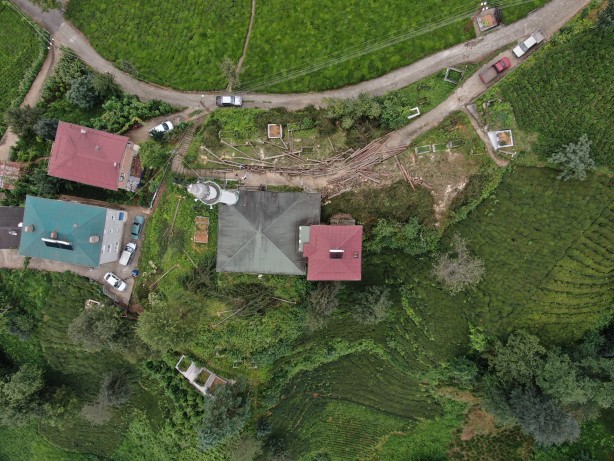 800 yıllık camiyi kurtarmak için çevresindeki ağaçları kestiler