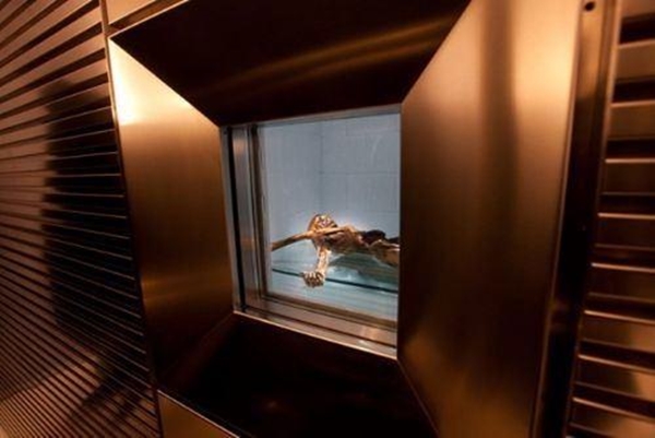 Foto - 800 yıllık mumyadaki inanılmaz gizemler