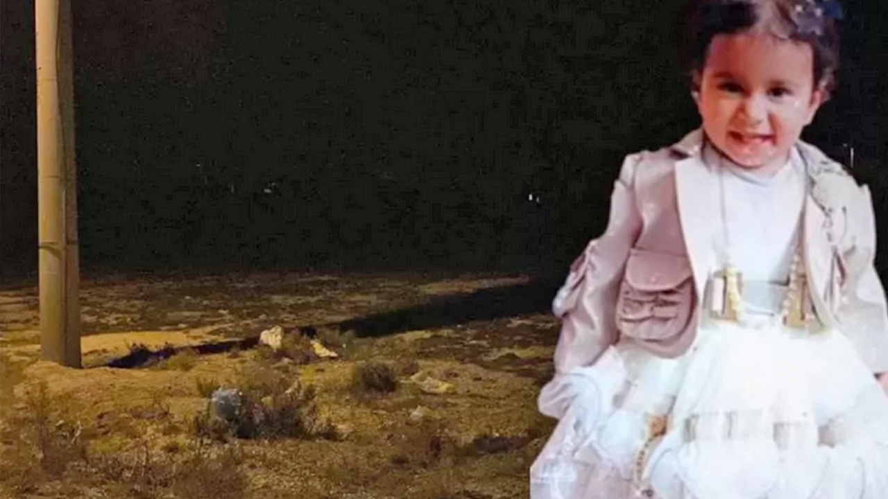 Foto - 81 ilde, 39 mülkiye başmüfettişi sahaya indi... Kusuru olan şimdi yandı... Sokak hayvanlarının tamamı toplanacak