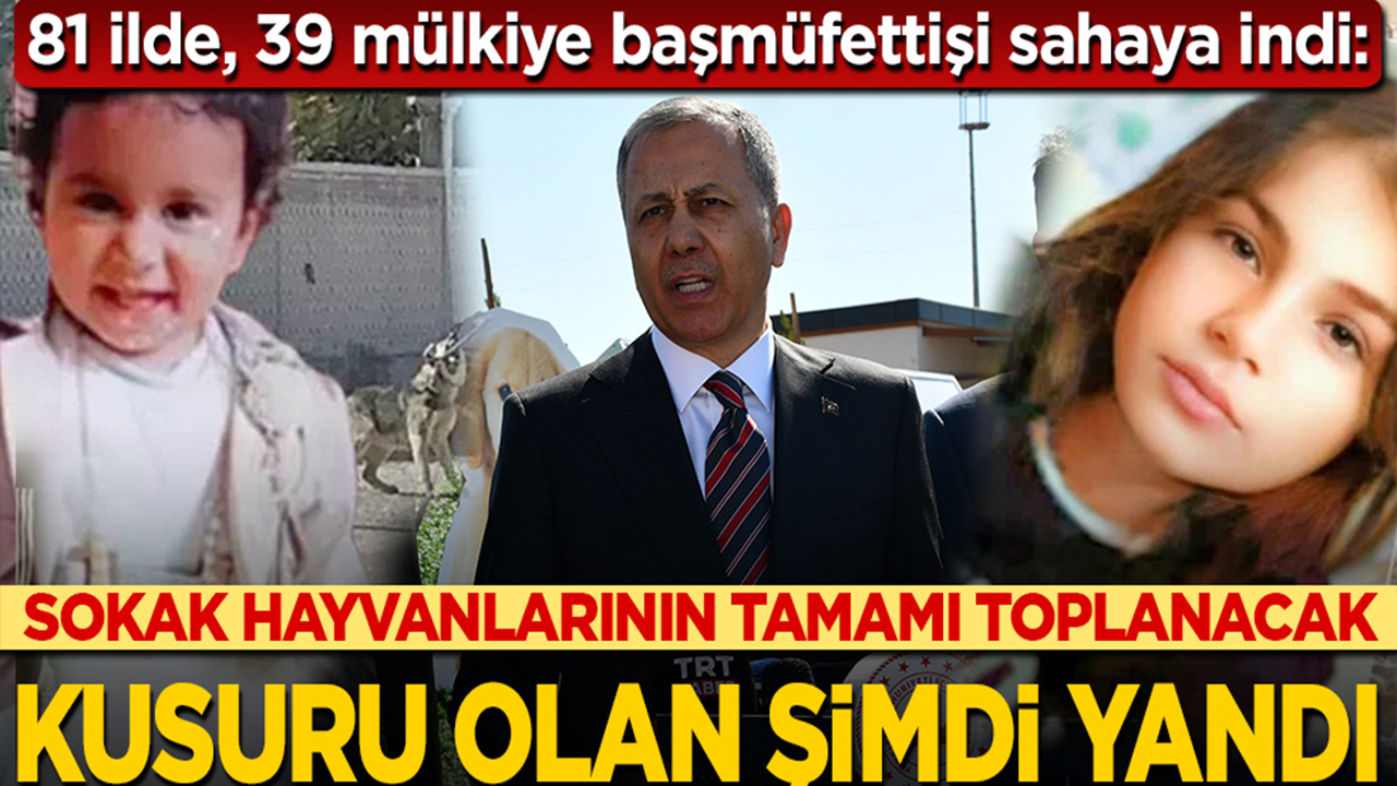 Foto - 81 ilde, 39 mülkiye başmüfettişi sahaya indi... Kusuru olan şimdi yandı... Sokak hayvanlarının tamamı toplanacak