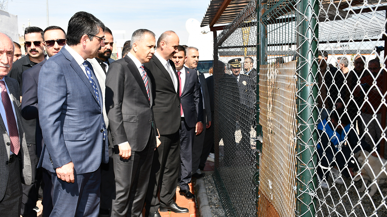 Foto - 81 ilde, 39 mülkiye başmüfettişi sahaya indi... Kusuru olan şimdi yandı... Sokak hayvanlarının tamamı toplanacak