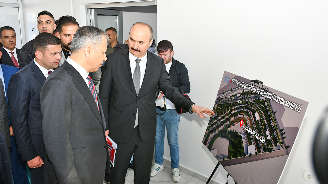 Foto - 81 ilde, 39 mülkiye başmüfettişi sahaya indi... Kusuru olan şimdi yandı... Sokak hayvanlarının tamamı toplanacak