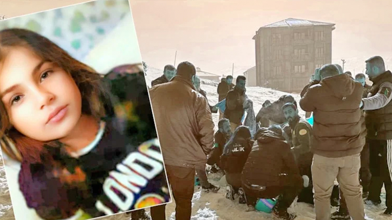 Foto - 81 ilde, 39 mülkiye başmüfettişi sahaya indi... Kusuru olan şimdi yandı... Sokak hayvanlarının tamamı toplanacak