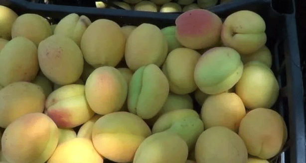 Foto - 81 ilimiz neyi ile meşhur? Bakın sizin iliniz dünyada nasıl tanınıyor...