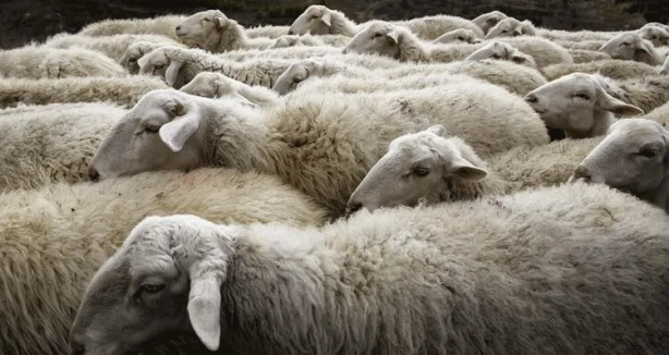 Foto - 81 ilimiz neyi ile meşhur? Bakın sizin iliniz dünyada nasıl tanınıyor...