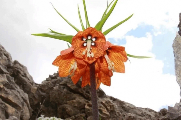 Foto - 81 ilimiz neyi ile meşhur? Bakın sizin iliniz dünyada nasıl tanınıyor...