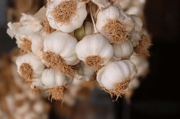 Foto - 81 ilimiz neyi ile meşhur? Bakın sizin iliniz dünyada nasıl tanınıyor...