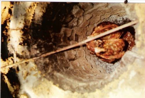 Foto - 81 ilimizin leziz yöresel yemekleri