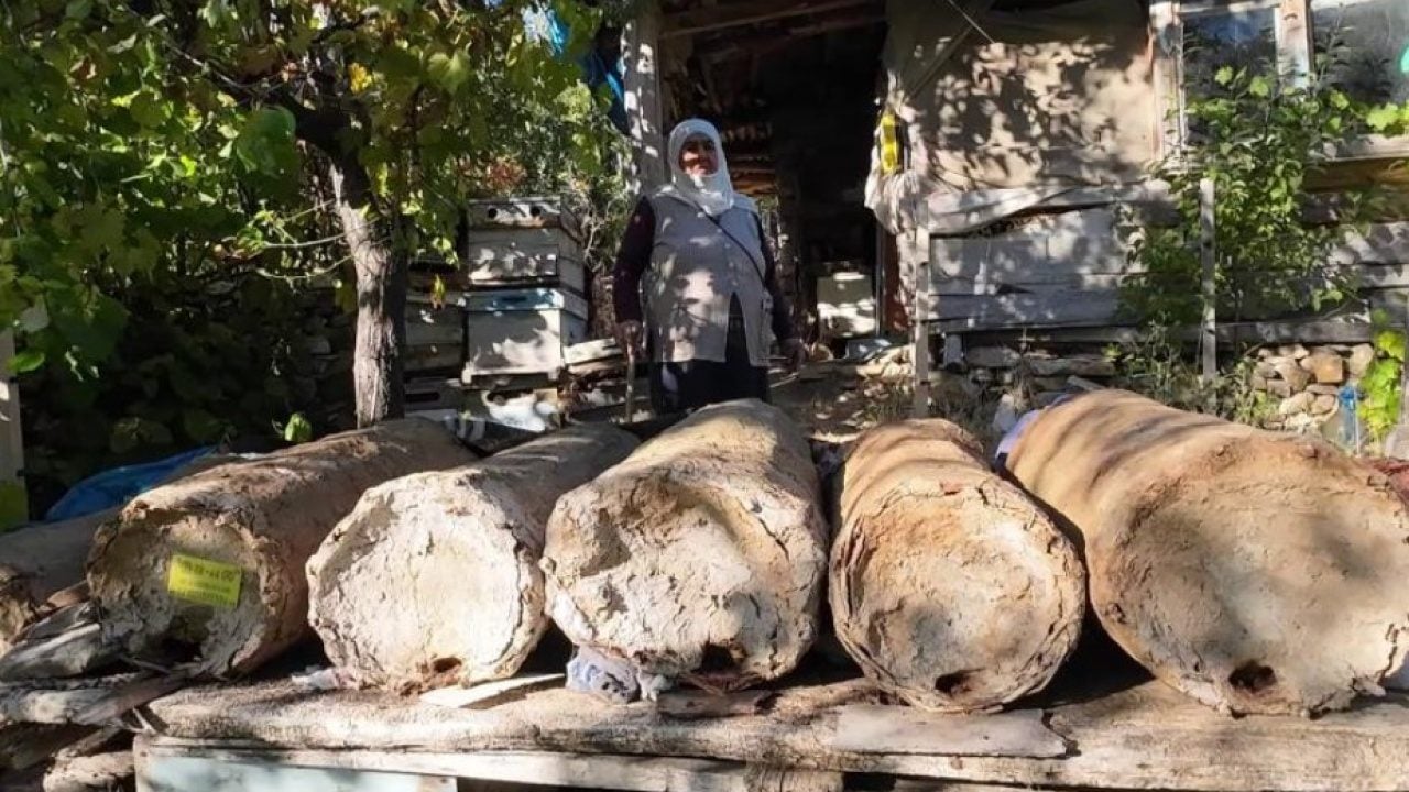85’lik arıcıdan doğal bal mesaisi