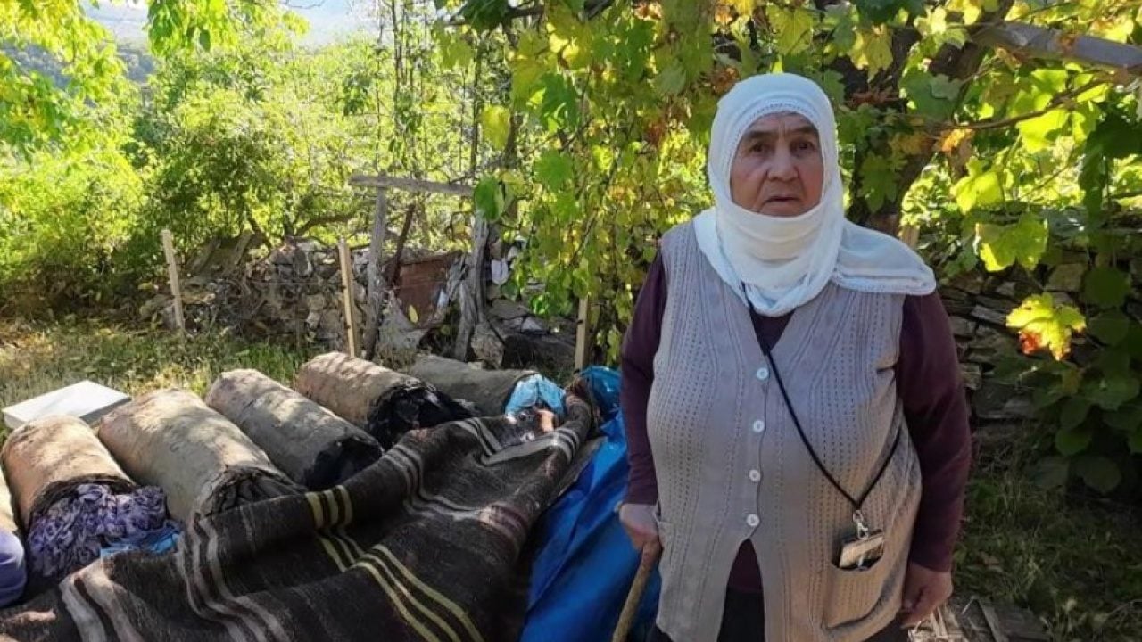 Foto - 85’lik arıcıdan doğal bal mesaisi