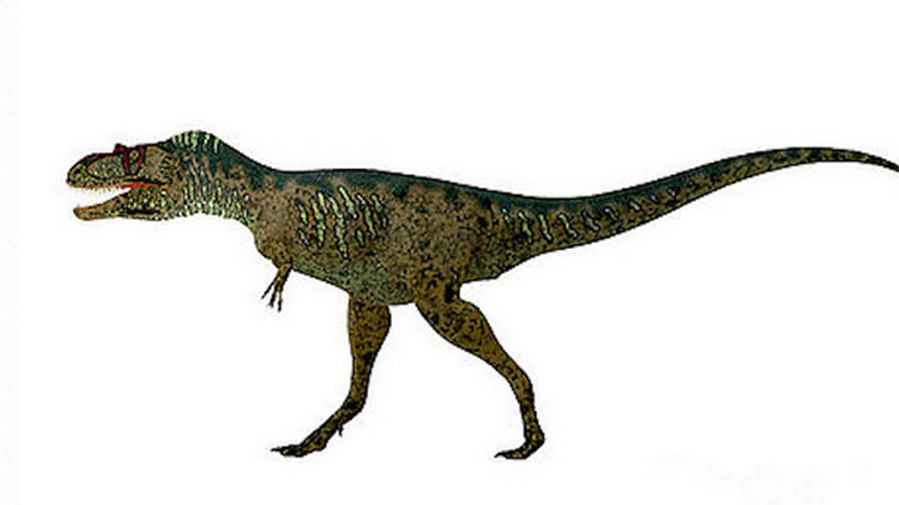 86 milyon yıllık yeni dinozor türü mü? Herkes şaşkına döndü: Ortaya çıktı! İşte bu beklenmiyordu…