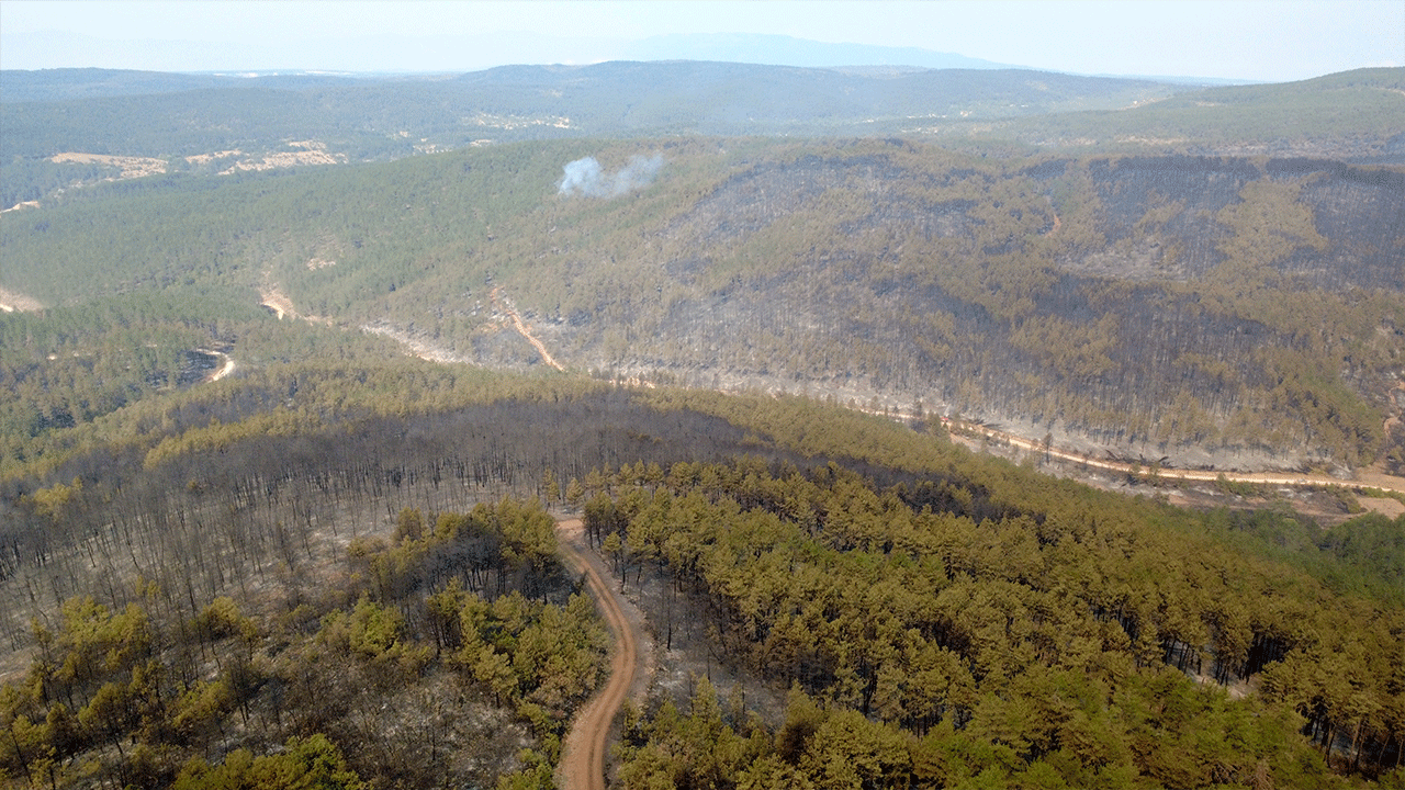 9 helikopter ve çok sayıda araç olay yerinde: Karabük'te orman yangını devam ediyor