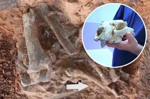 9 milyon öncesine ait! Bilim insanları onun peşinde, o da Denizli’de…