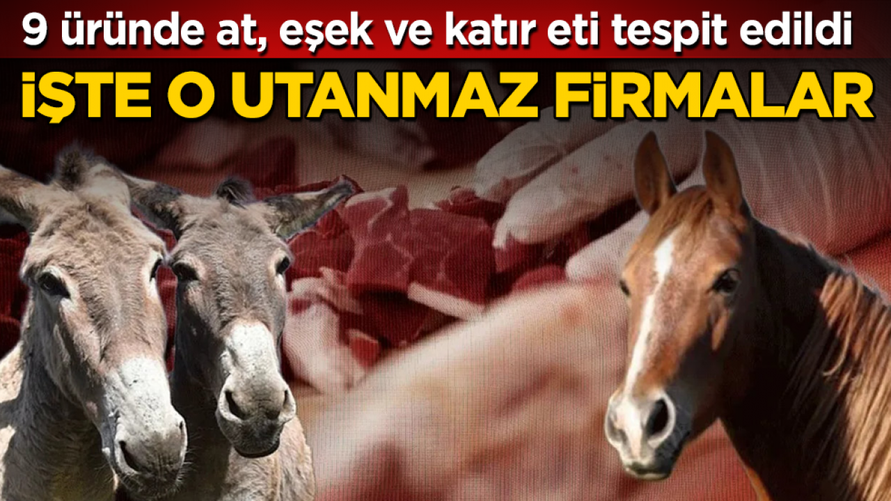 9 üründe at, eşek ve katır eti tespit edildi! İşte o utanmaz firmalar