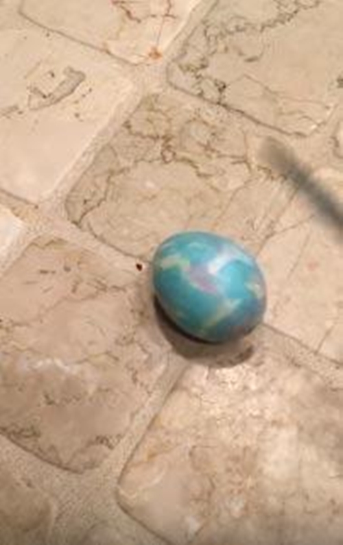 Foto - 9 yıllık yumurtanın içini açtılar!