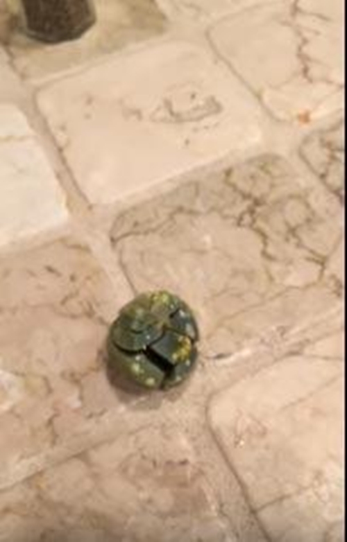 Foto - 9 yıllık yumurtanın içini açtılar!