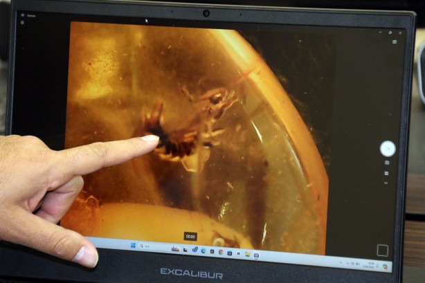 Foto - 90 milyon yıllık taşlar Bitlis’te