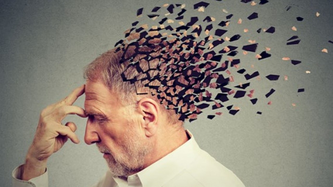 90 yaşında bile zehir gibi hafızanız olacak! Alzheimer'den korunmanın sırrı açıklandı